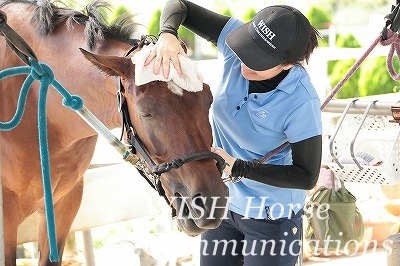 馬が喜ぶ乗馬