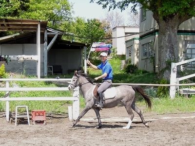 こどもの日を乗馬で体験