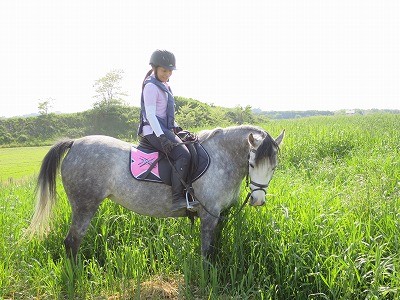 子馬とお散歩乗馬