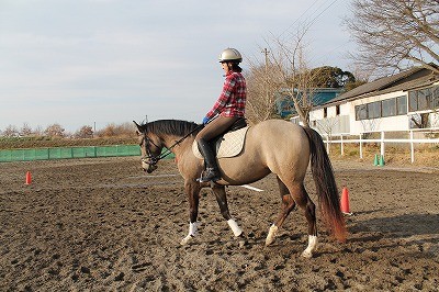 馬とパートナーになる本当の乗馬