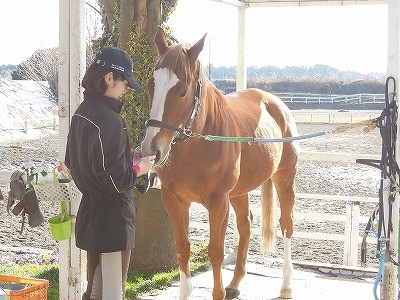 楽しい馬とのナイショの話