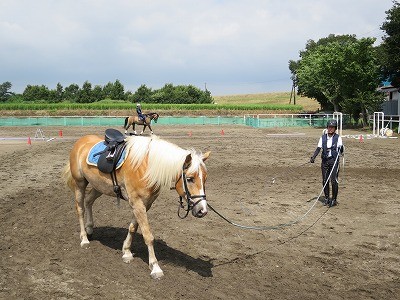 乗馬は知恵とハート