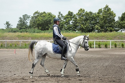 乗馬は思った通りになっているだけ