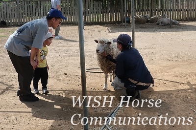 子供動物園