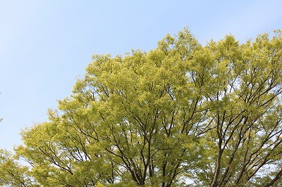 馬が納得してること