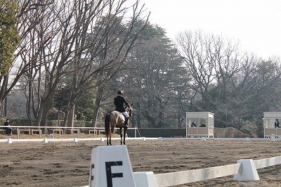 ウィッシュホースコミュニケーションズ競技会