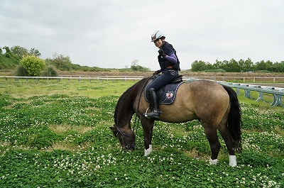 馬とクローバー