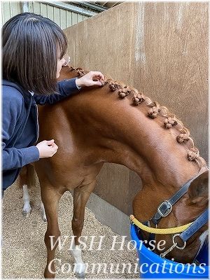 馬付きの方法