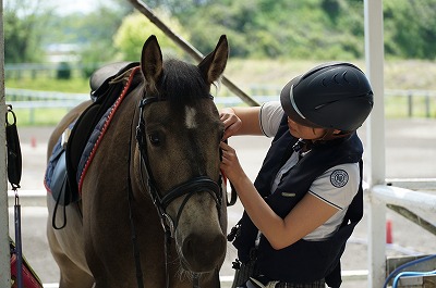 馬にかける想い