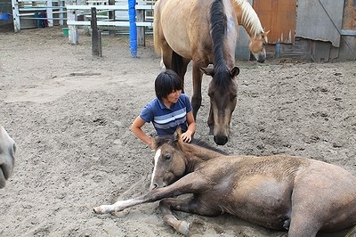 馬とのコミュニケーション