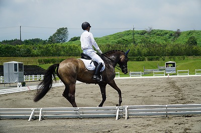 全日本馬場馬術大会