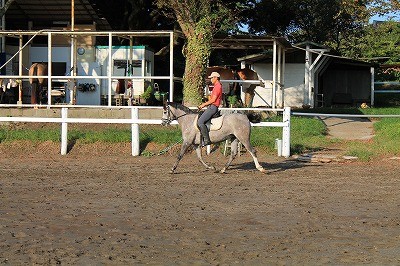 やっぱりいい馬だ(^^)