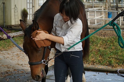 馬も絶賛の手入れ方法