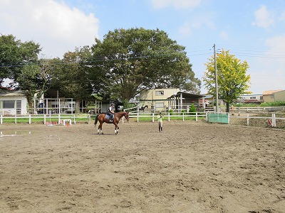 爽やか乗馬