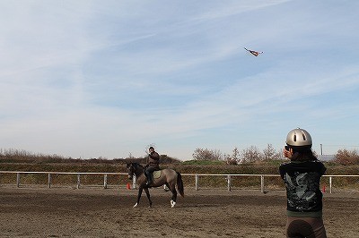 馬と遊ぶ