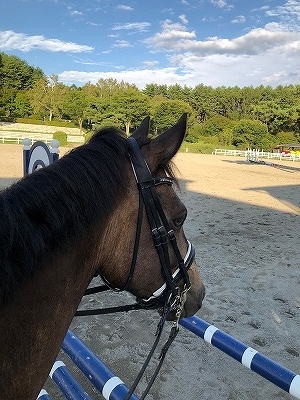 初めて来た競技場