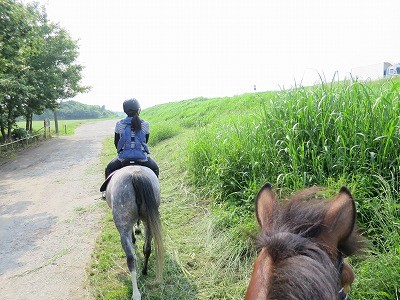 新馬調教　外乗