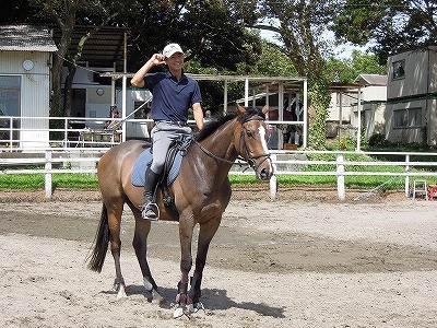 馬語がわかるようになるには