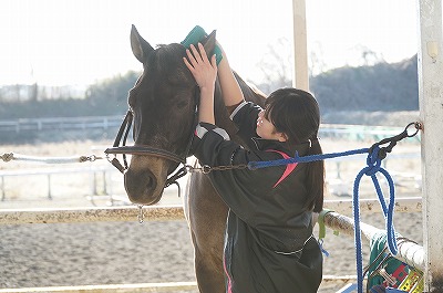 馬を幸せにする乗馬をしたい