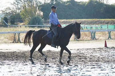 楽しいことを続けよう