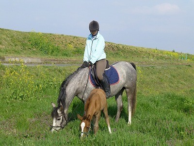 子馬とはじめてのお出かけ