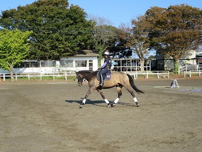 動物との楽しいコミュニケーション