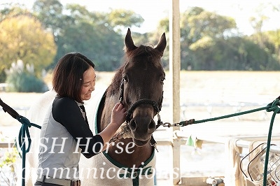 優しい乗馬