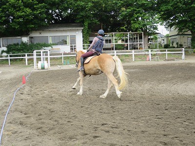 馬のギャップ萌え