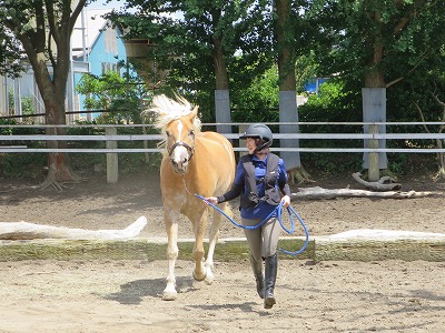 愛馬と遊ぶ