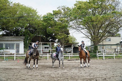 馬と会話上手