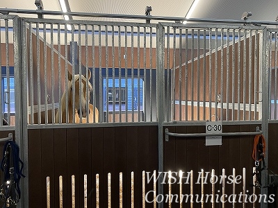 全日本馬場馬術大会