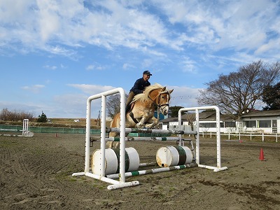 素敵な乗馬体験