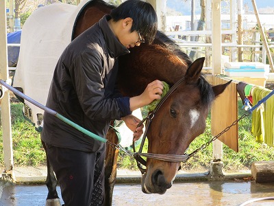 馬の気持ちになって考えよう