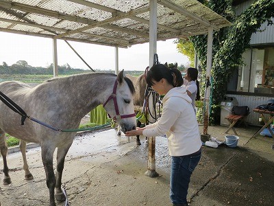 馬を大切にするクラブ