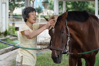 秋乗馬