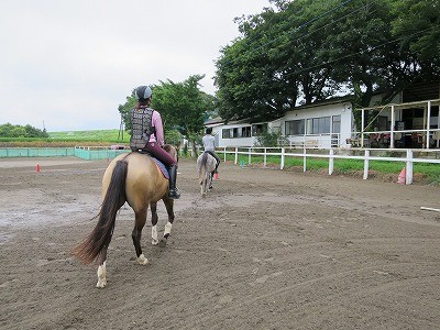 乗馬も基本が大切