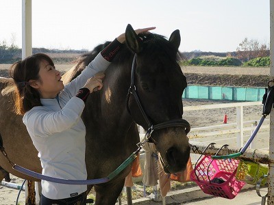 馬と愛し合う