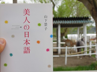 美人の日本語 柏エリアの乗馬 ウィッシュホースコミュニケーションズ 美人の日本語 柏エリアの乗馬 ウィッシュホースコミュニケーションズ