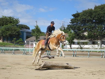 馬と遊ぼう