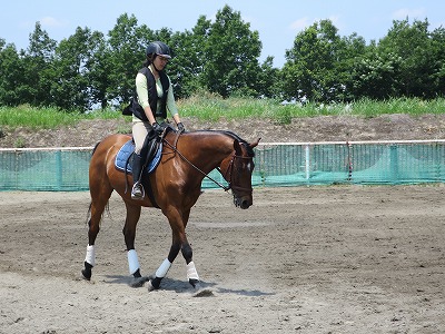 素敵な乗馬体験