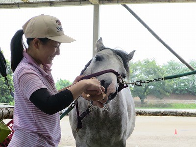 馬を安心させる