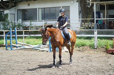 乗馬歴3ヶ月でのハミ受け