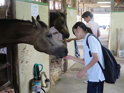 いい馬は普段の接し方で作られる