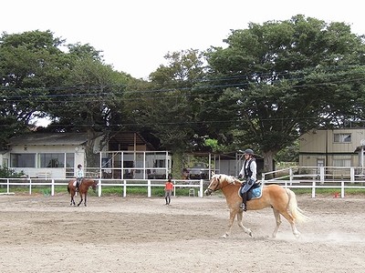 ワンハンドで乗馬の練習