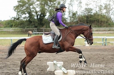障害飛越時のバランス