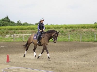 ウィッシュの乗馬は全然違う