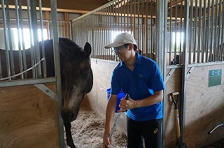 全日本馬場馬術大会