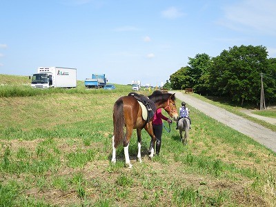 自分達で馬を飼うように