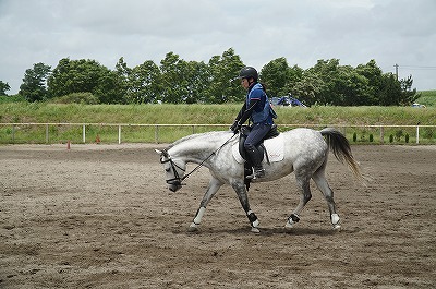 馬術の準備運動