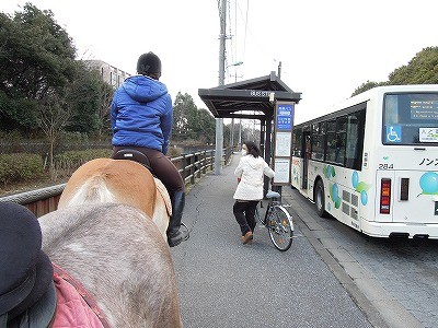 乗馬で川村学園女子大学まで行ってきた♪